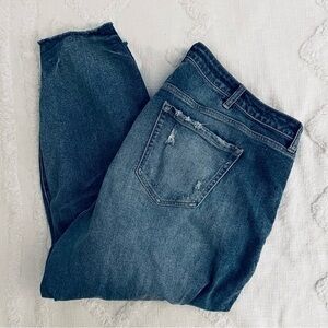 Torrid high rise straight jeans